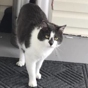 Meet your Posher, Angie